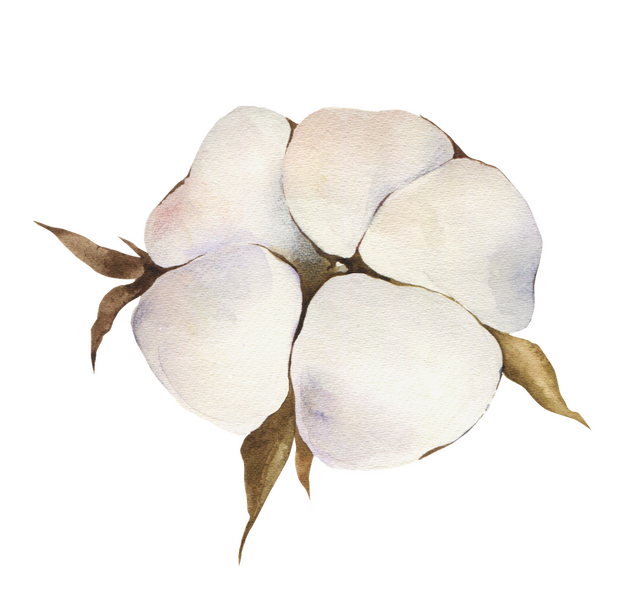 cotton